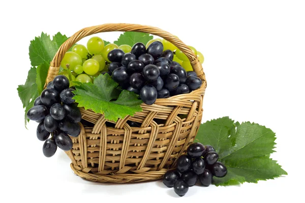 Fresh Red and White Grapes with Green Leaves in Wicker Basket Isolated on White — Stock Photo, Image