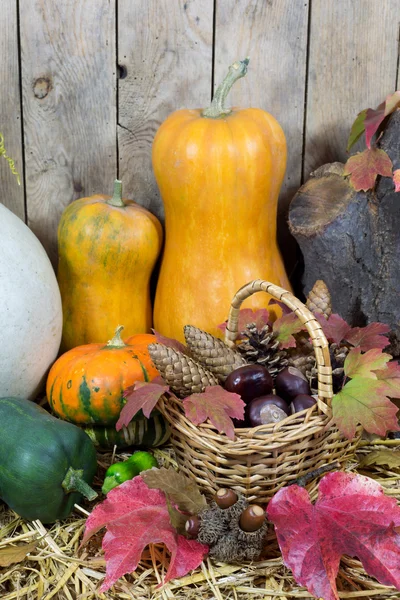 Still Life with Two Yellow Pumpkins, Wicker Basket Filled with Pine Cones, Acorns, Chestnuts and Autumn Leaves on a Hay, Wooden Planks Background — Stock Photo, Image