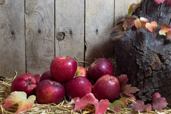 Nature morte avec pommes rouges et feuilles d'automne sur un foin, planches en bois Arrière-plan — Photo
