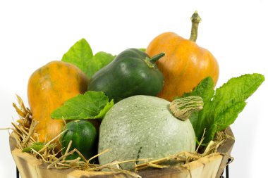 Saman ve yeşil ahşap sepet içinde çeşitli Pumpkins izole üzerinde beyaz yaprakları