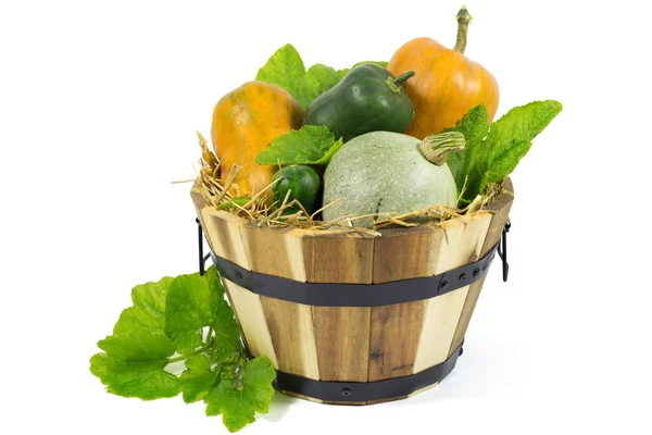 Various Pumpkins in Wooden Basket with Hay and Green Leaves Isolated on White — Stock Photo, Image