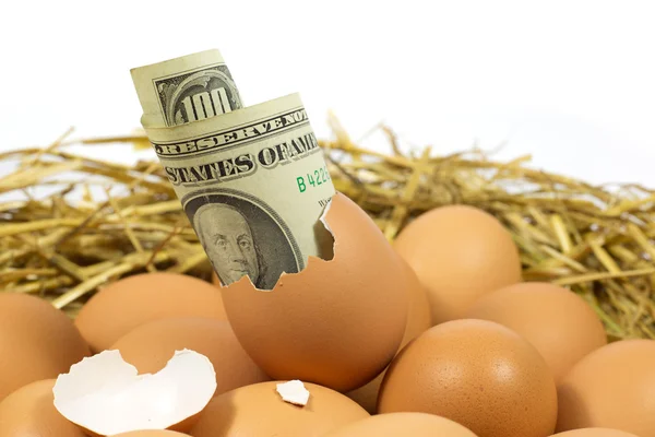 Egg Worth One Hundred Dollars — Stock Photo, Image