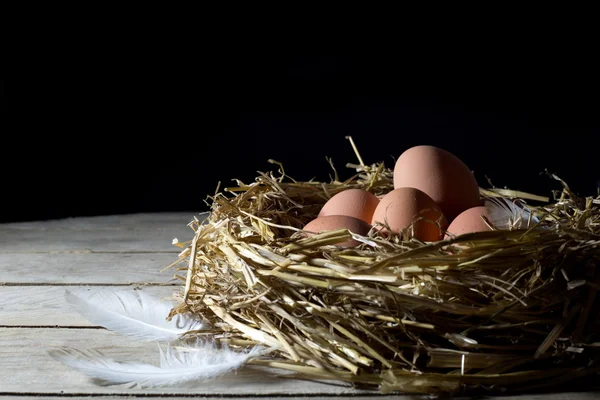 Nest with Eggs and White Feather on an Old Rustic Wooden Table Over Black Background — Stock Photo, Image