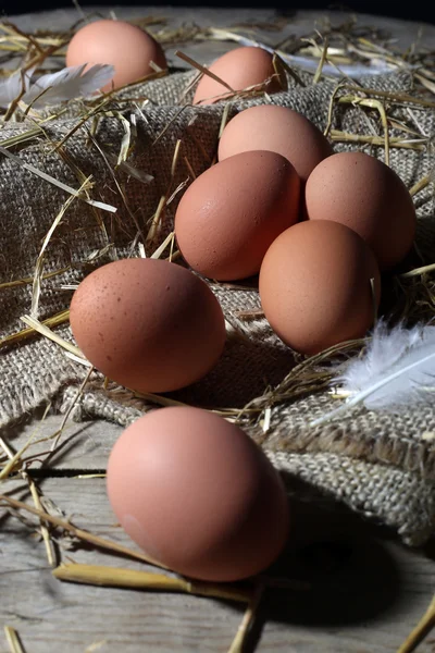 Eggs and White Feather on Jute and Hay — Stock Photo, Image