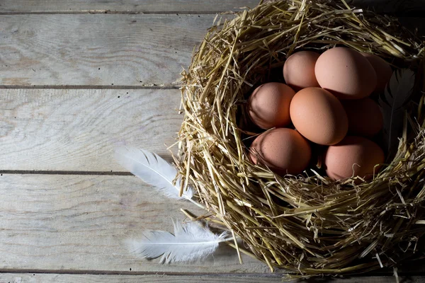 Nest with Eggs and White Feather on an Old Rustic Wooden Table, View From the Top — Stock Photo, Image