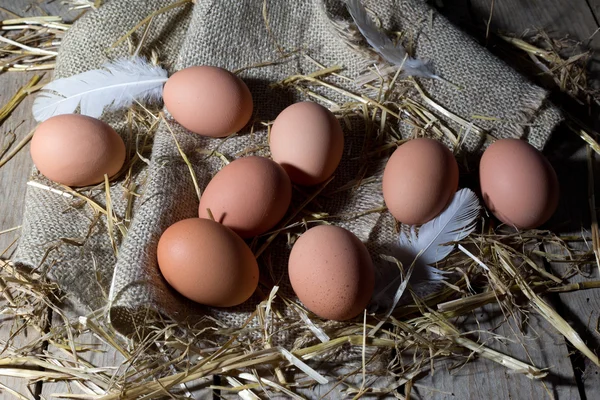 Eggs and White Feather on Jute and Hay — Stock Photo, Image