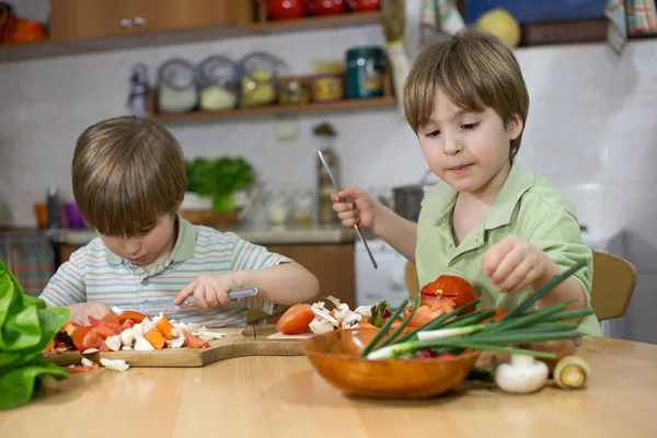 Cute Twin Brothers Cutting Fresh Vegetables For Salad Very Carefully at the Kitchen Table Stock Photo