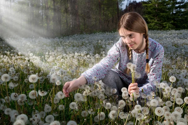 若い女の子を彼女に落ちてくる太陽光線中のタンポポのフィールドに願いをかける — ストック写真