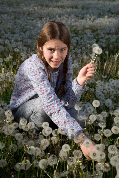 Menina fazendo um monte de flores de dente de leão na ensolarada Primavera da Europa — Fotografia de Stock