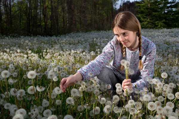 Young Girl Sitting in Dandelions Field on Sunny Day — Stock Photo, Image