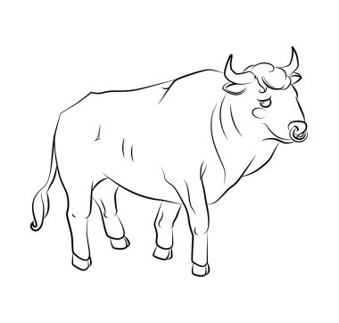 bir boğanın siyah beyaz görüntüsü