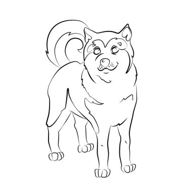 siyah ve beyaz bir köpek resmi