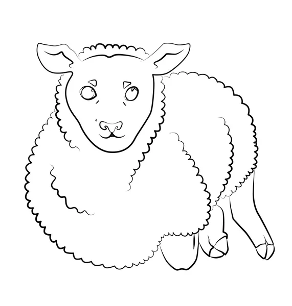 Imagem em preto e branco de uma ovelha — Vetor de Stock