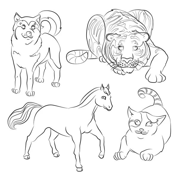 Imagen en blanco y negro de un gato, perro, caballo y tigre — Vector de stock