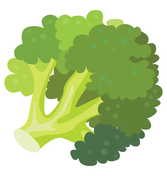El brócoli verde - una fuente de vitaminas y salud — Vector de stock