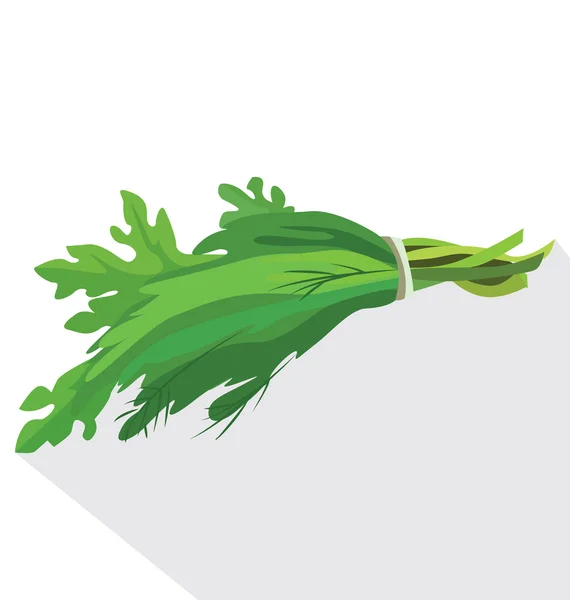 Mazzo di erbe fresche — Vettoriale Stock