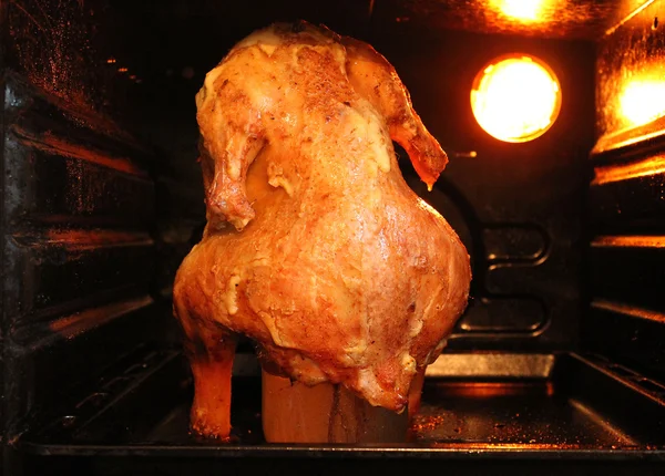 Pollo en la botella — Foto de Stock