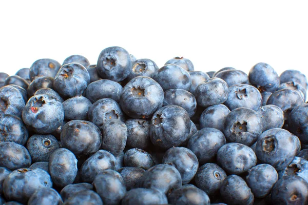 Freshly picked blueberries — Stock Photo, Image