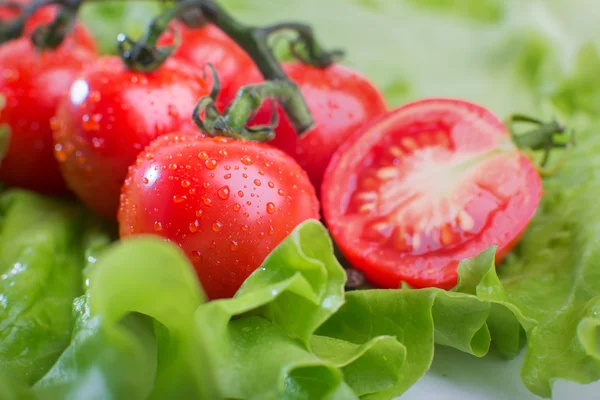 El primer plano de los tomates sobre el fondo de la ensalada verde — Foto de Stock