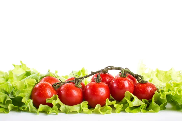 Fresh tomatoes — Stock Photo, Image