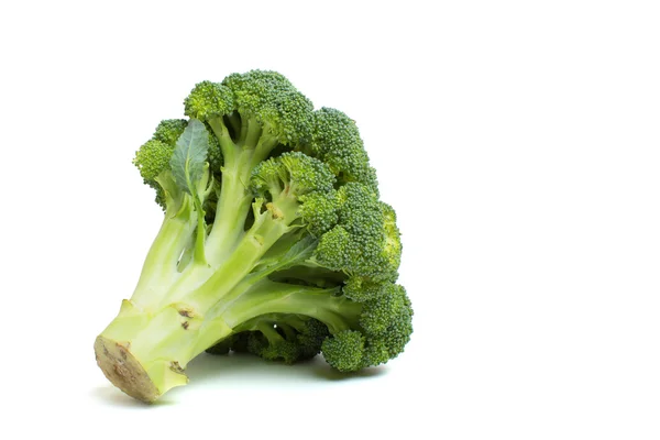 Cabbage on a white background. — Stock Photo, Image