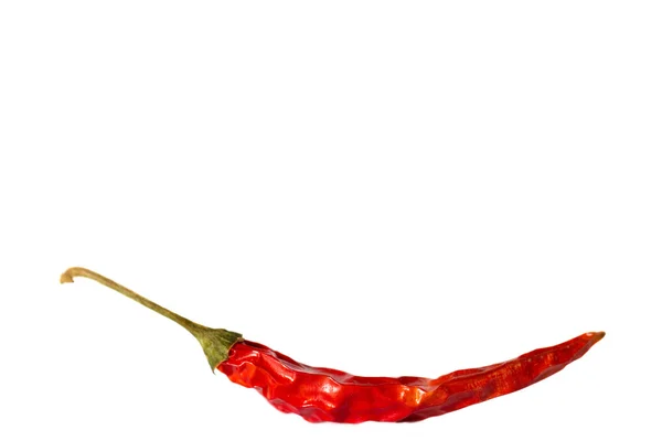 Dried Hot Chili Peppers Isolated on White Background — Stock Photo, Image