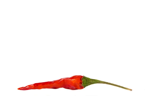 Sušené hot chili peppers izolovaných na bílém pozadí — Stock fotografie