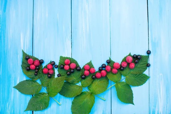 Fresh berries. — Stock Photo, Image