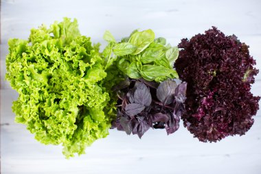 Taze marul salata karışımı.
