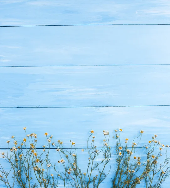 Gedroogde Kamille op een houten achtergrond. — Stockfoto