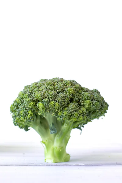 Brocoli sur fond blanc. — Photo