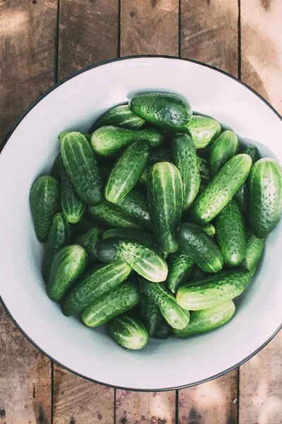 Oogst de komkommers. Gezonde en natuurlijke voeding — Stockfoto