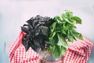 Organik fesleğen yaprağı.