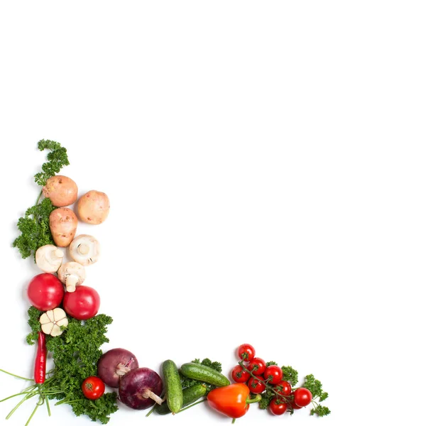 Motif décoratif de légumes frais sur fond blanc — Photo