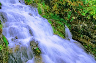 Yeşil bitki örtüsü ile şelale