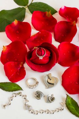 Beyaz yüzeyde beş taş ve tek taştan elmas yüzük ve taze gül yaprakları. Kavramsal ve dikey görüntü..