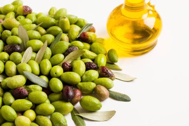 Yeni hasat yeşili, olgunlaşmış büyük zeytinler beyaz yüzeyde biriken saf zeytinyağı