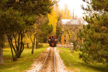 Demiryolunda sonbahar ağaçları ve kavramsal görüntüsü olan çocukların eğlence treni.