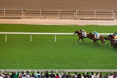 At yarışı genel önlerinde