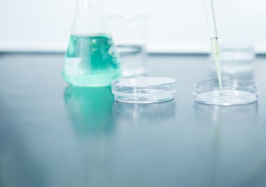 Boru ve petri kabı.