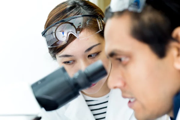 2 Investigador trabajando juntos — Foto de Stock