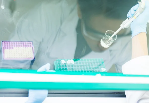 Laminar başlıklı bir pipet ile çalışan araştırmacı
