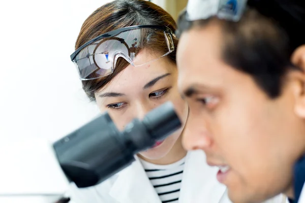 2 Researcher working together Royalty Free Stock Images
