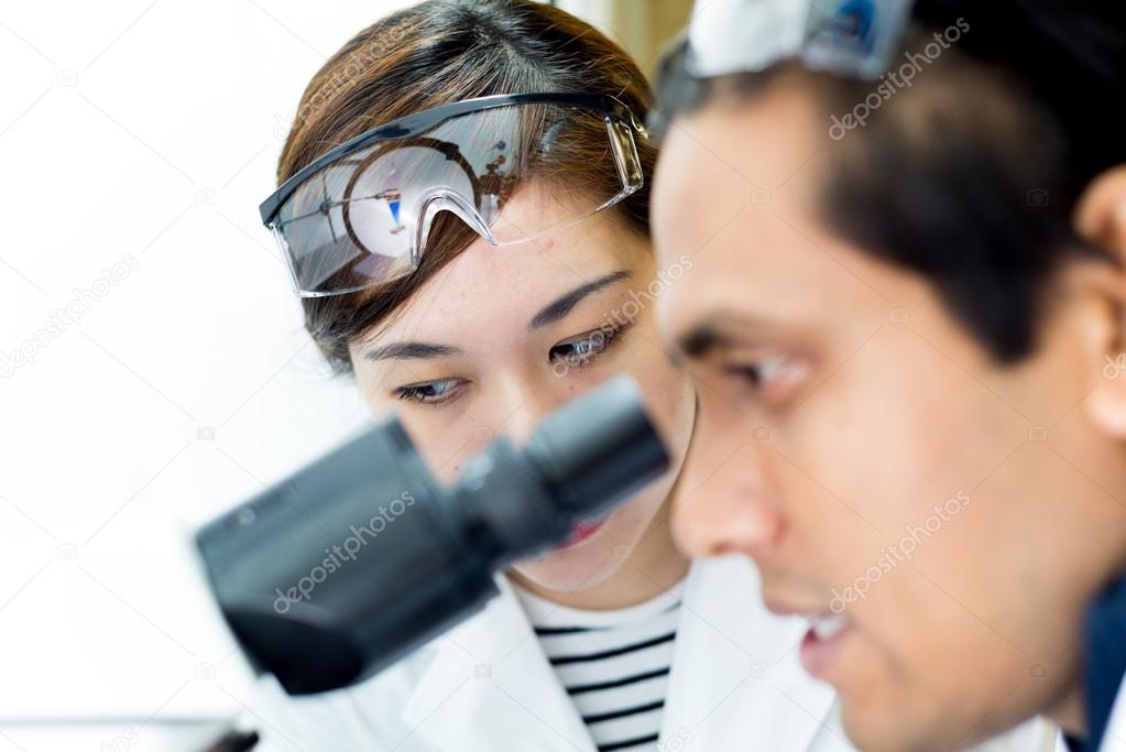 2 Researcher working together