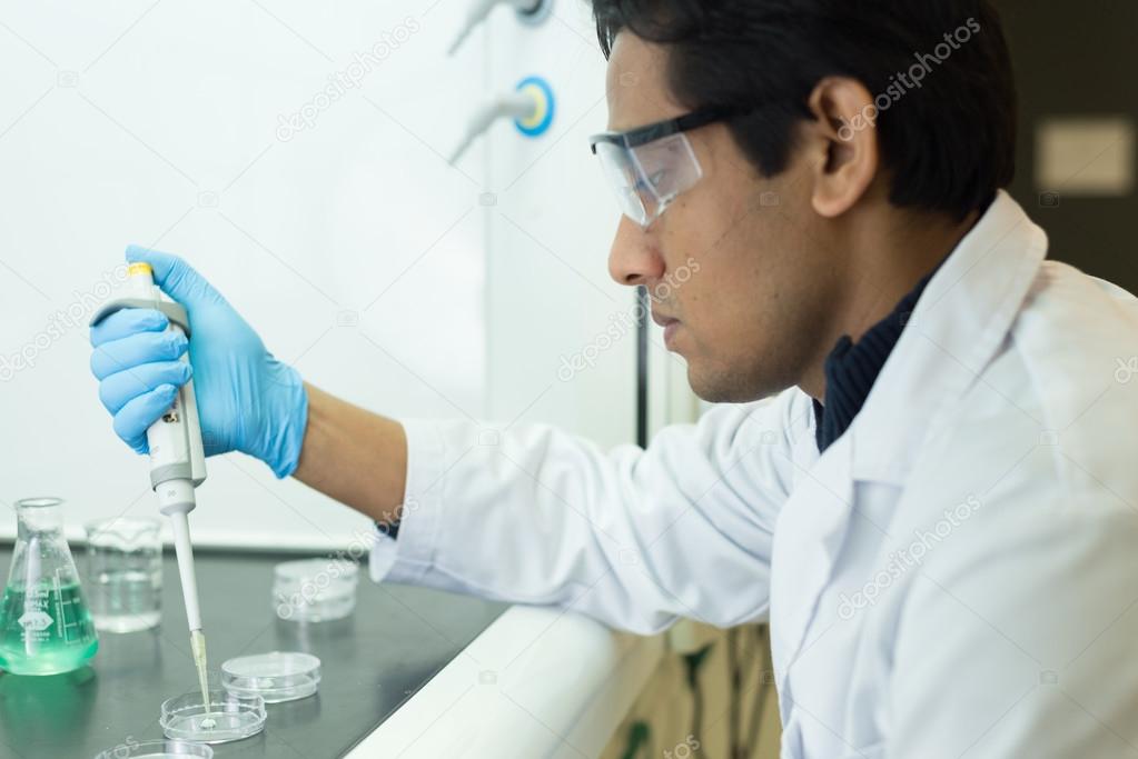 Researcher working with a Pipette and Petri Dishes