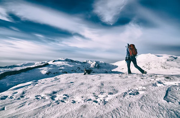 Female hiker with her dog — Stock Photo, Image