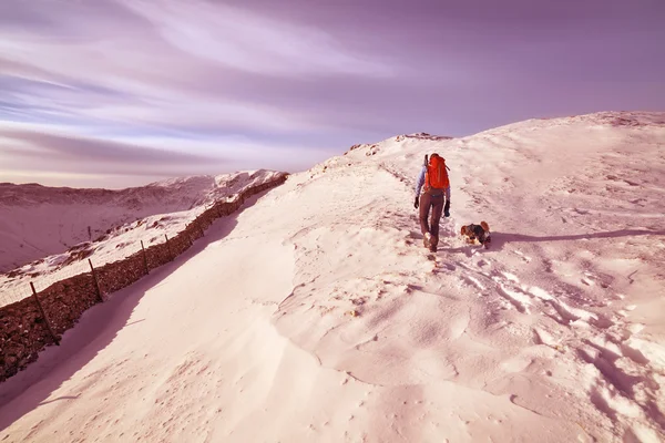 Female hiker with her dog — Stock Photo, Image