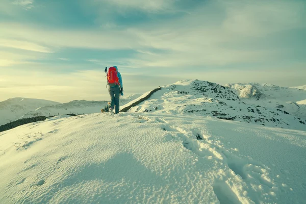 Ženské turista se svým psem — Stock fotografie