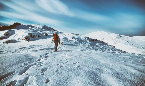 Ženské turista se svým psem — Stock fotografie