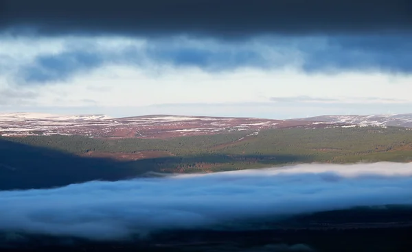 Rothiemurchus-Wald im schottischen Hochland — Stockfoto